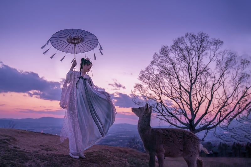 Sunrise Elegance